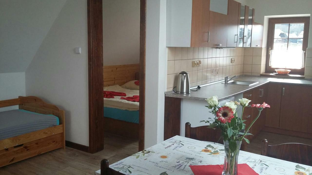Apartment Nedrik Rokytnice nad Jizerou Εξωτερικό φωτογραφία
