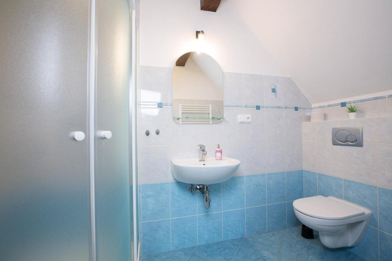 Apartment Nedrik Rokytnice nad Jizerou Εξωτερικό φωτογραφία